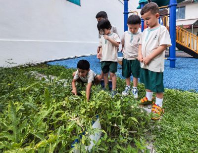 Media - 2024-10-22T145559.008